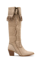 Lyana Knee High Boots Taupe Faux Suede