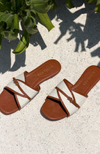 Pearson Slides Tan