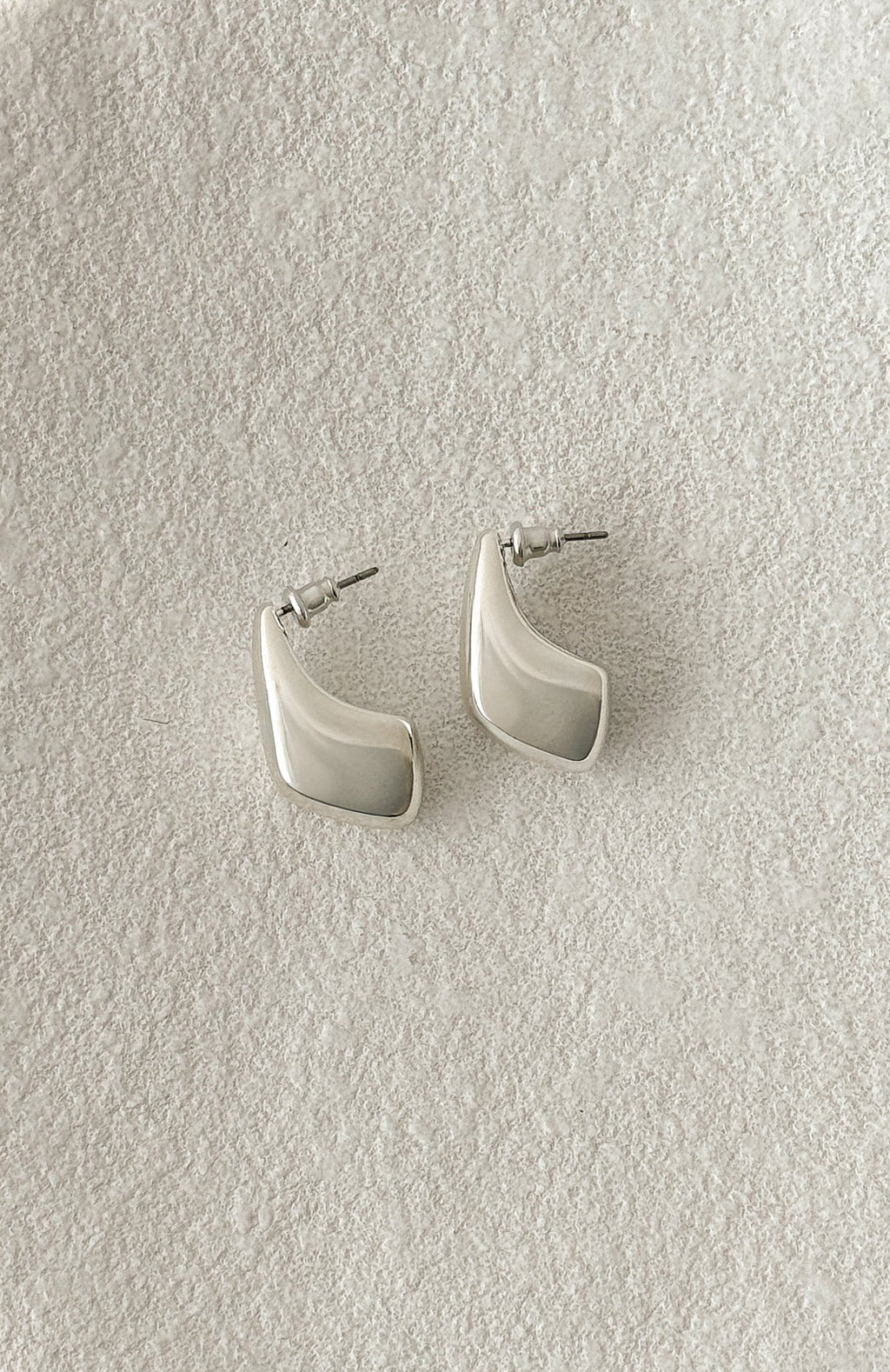 Wilson Earrings Silver