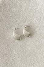 Wilson Earrings Silver