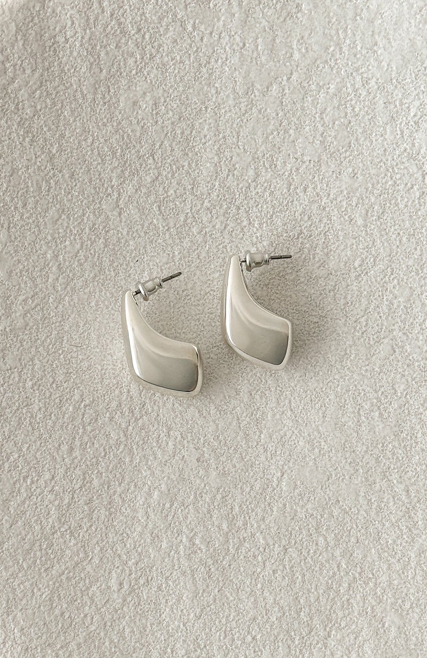 Wilson Earrings Silver