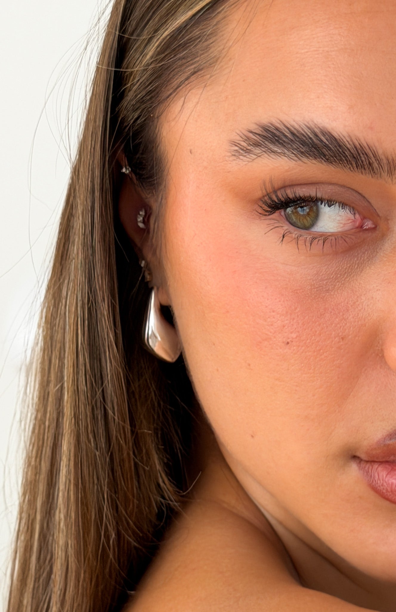 Wilson Earrings Silver